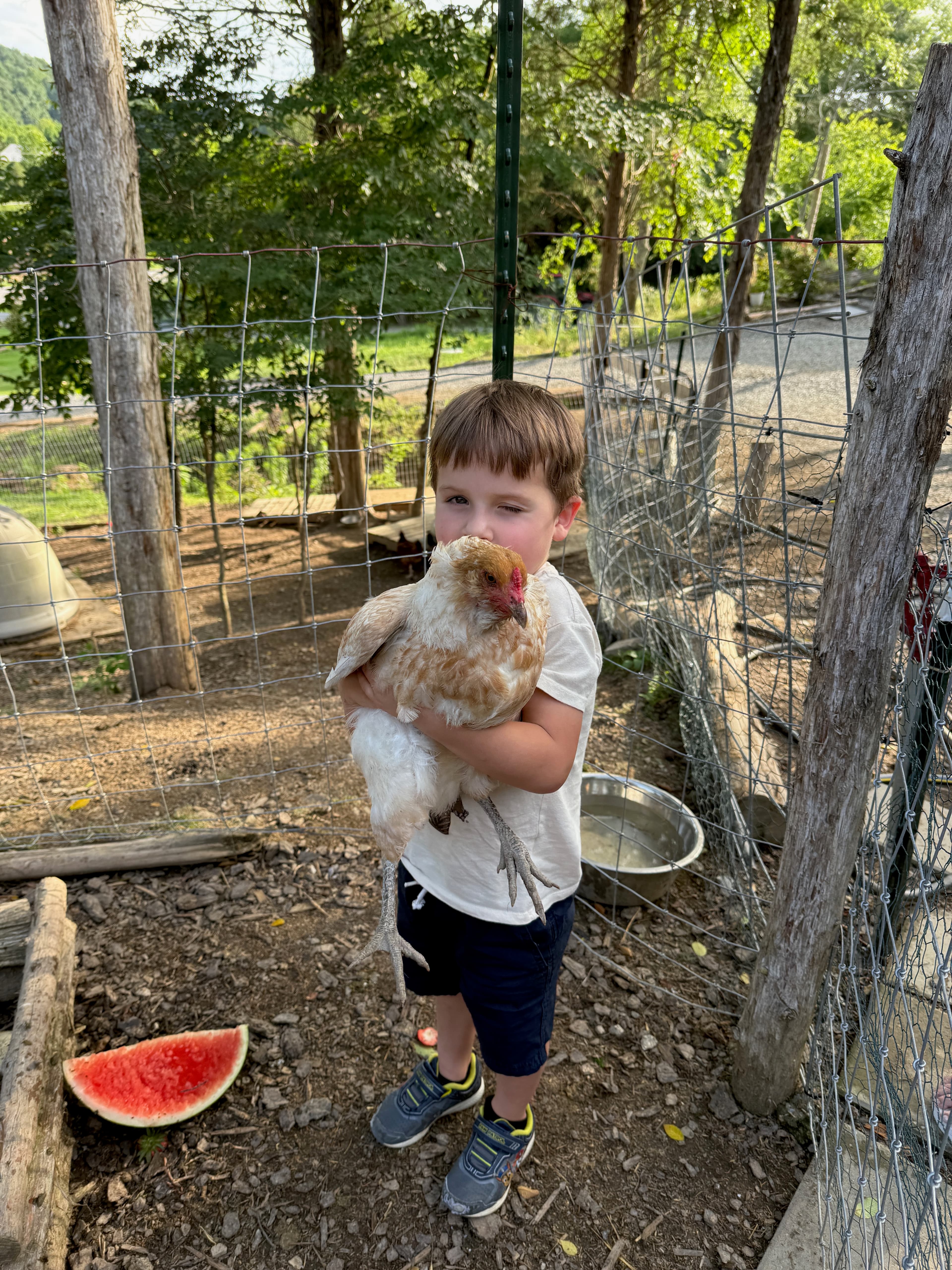 Chicken Wrangler 2
