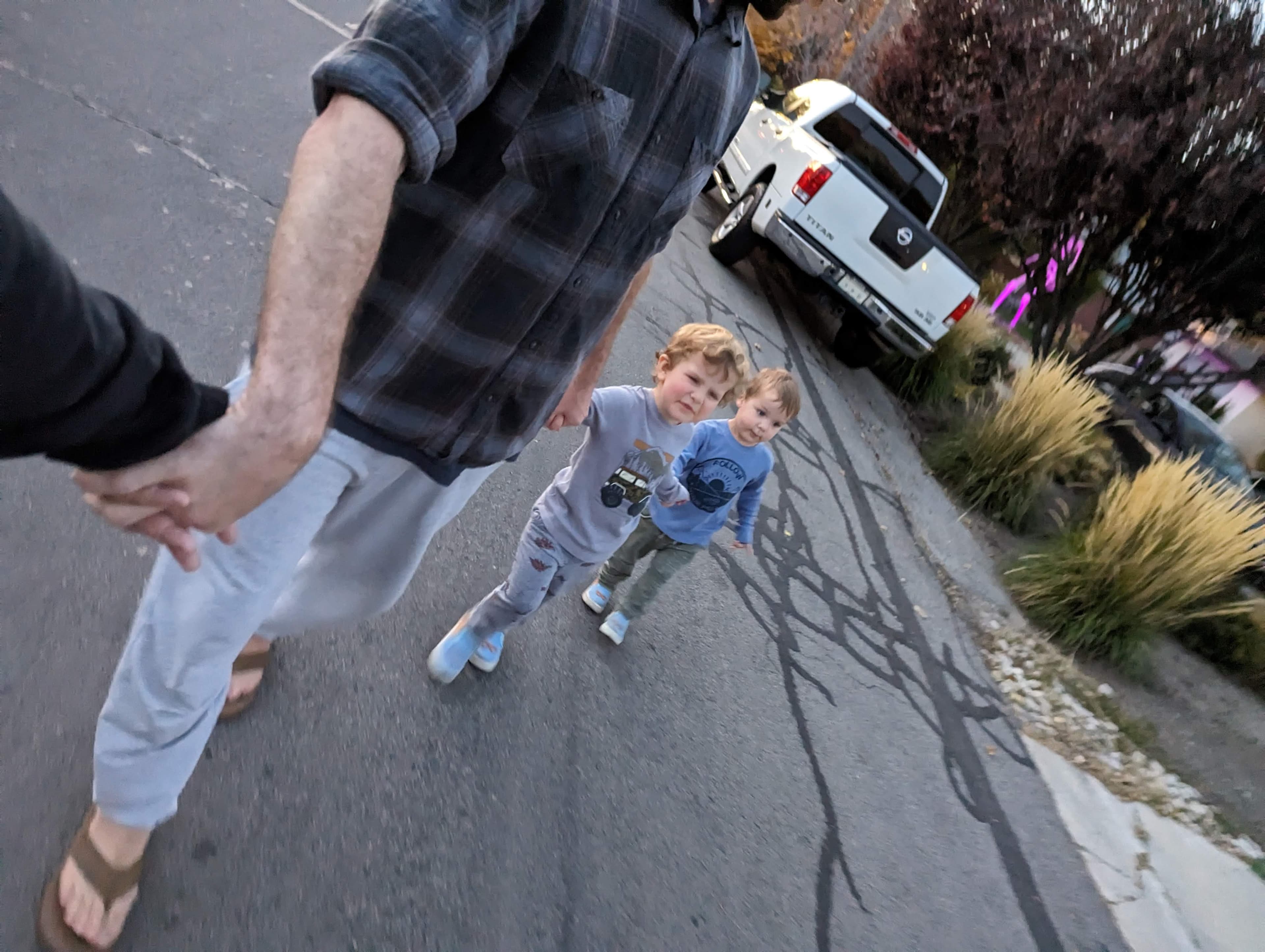 Family Walks, pt. 427/∞